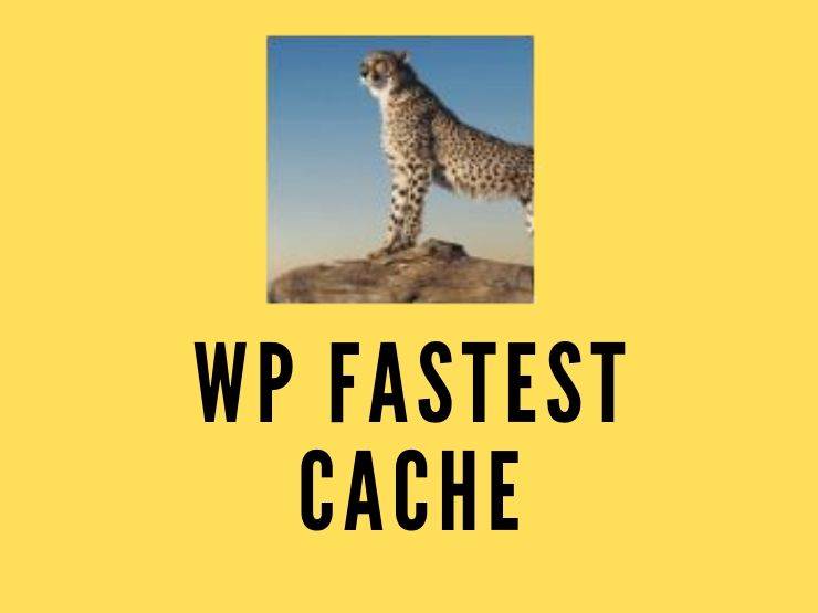 WP fastest cache